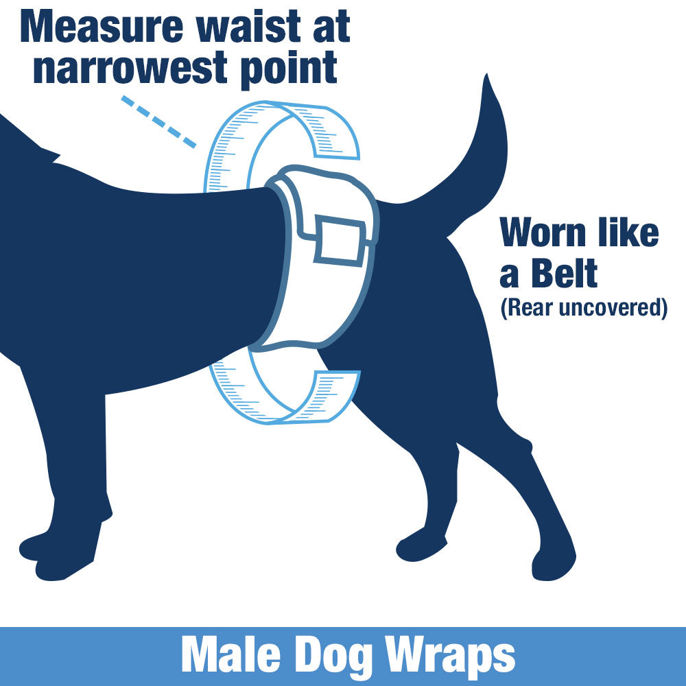 ValueWrap Male Wraps, Disposable Dog Diapers, Carbon, 1-Tab Small, 288 Count BULK PACK - Activated Charcoal, Snag-Free Fastener, Leak Protection, Wetness Indicator